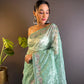 Sequin Scroll Embroidered Saree