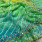 Rainbow Bandhani Leheriya Saree