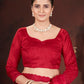 Sequin Cross Stitch Border Saree