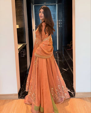 Rust Zari Embroidered Lehenga