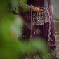 Aubergine Cording Peplum Lehenga