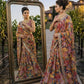 Rust Floral Mirror Saree