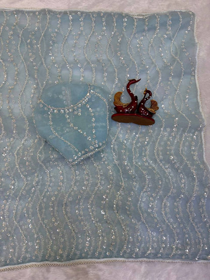Pearl Trail Sequin Net Saree