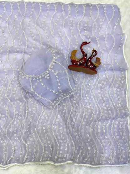 Pearl Trail Sequin Net Saree