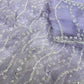 Pearl Trail Sequin Net Saree