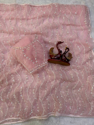 Pearl Trail Sequin Net Saree