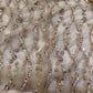 Pearl Trail Sequin Net Saree