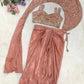 Sequin Vine Ready Saree Set
