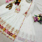 Peacock Border Anarkali Gown
