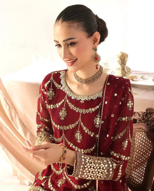 Embroidered Georgette Sharara Suit