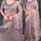 Turkish Style Embroidered Organza Saree