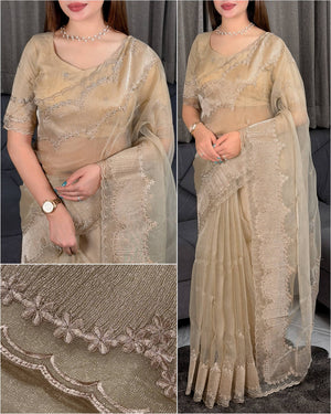 Turkish Style Embroidered Organza Saree