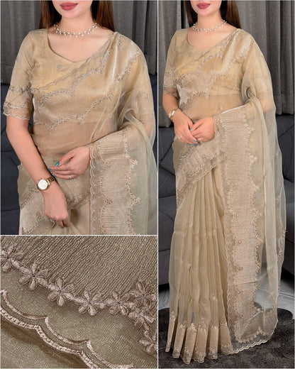 Turkish Style Embroidered Organza Saree