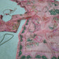 Orgenza Mirror Floral Printed sequence embroidery Saree
