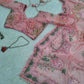 Orgenza Mirror Floral Printed sequence embroidery Saree