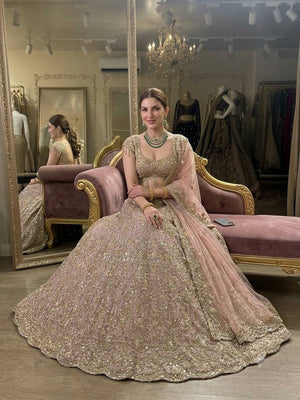 Blush Pink Net Lehenga with Zari Sequin Work