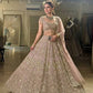 Blush Pink Net Lehenga with Zari Sequin Work