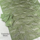 Ivory Turkish Organza Saree