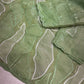 Ivory Turkish Organza Saree