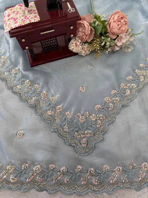 Fendy Silk Saree with Velvet Blouse