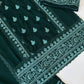 Emerald Booti Embroidered Suit