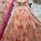 Blush Floral Mirror Lehenga