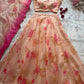Blush Floral Mirror Lehenga