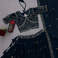 Sequin Embroidered Vichitra Lehenga