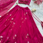 Rust Orange Hand Painted Georgette Lehenga