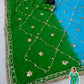 Pure Chiffon Saree with Gota Patti work and dual color for Festive Celebrations available in 4 colors
