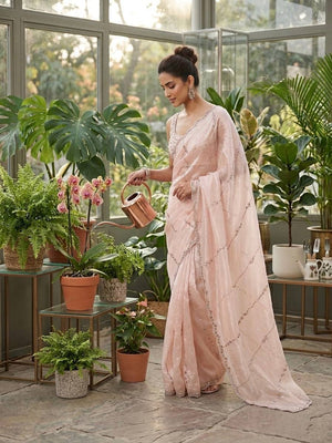 Blush Jarkan Stone Saree