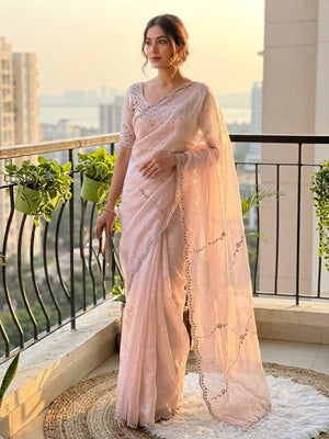 Blush Jarkan Stone Saree
