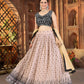 Blush Georgette Sequin Lehenga with Dupatta