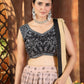 Blush Georgette Sequin Lehenga with Dupatta