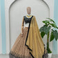 Blush Georgette Sequin Lehenga with Dupatta