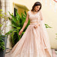 Blush Radiance Faux Georgette Sequin Embroidered Lehenga Set