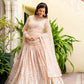 Blush Radiance Faux Georgette Sequin Embroidered Lehenga Set