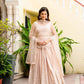 Blush Radiance Faux Georgette Sequin Embroidered Lehenga Set