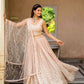 Blush Radiance Faux Georgette Sequin Embroidered Lehenga Set