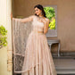 Blush Radiance Faux Georgette Sequin Embroidered Lehenga Set