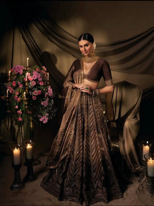 Brown Thai Silk Lehenga with Dori Work