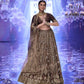 Brown Thai Silk Lehenga with Dori Work