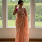 Butterfly Motif Crushed Organza Embroidered Saree