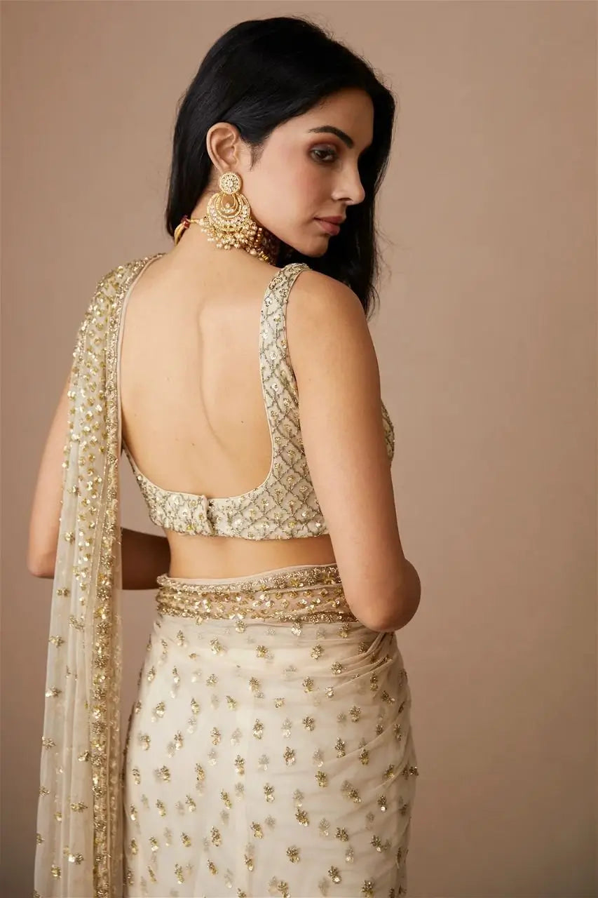 Champagne Gold Butterfly Net Saree with Sequins Dori Embroidery & Mono Benglory Blouse