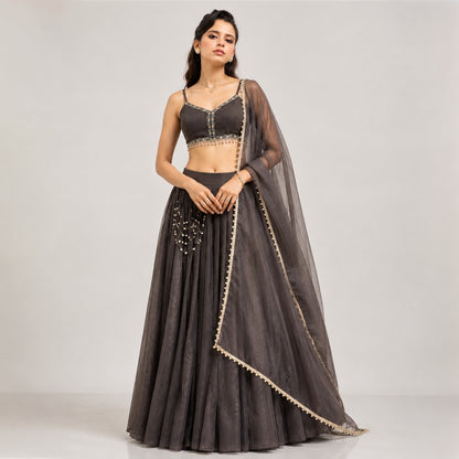 Pearl Trim Organza Lehenga Set
