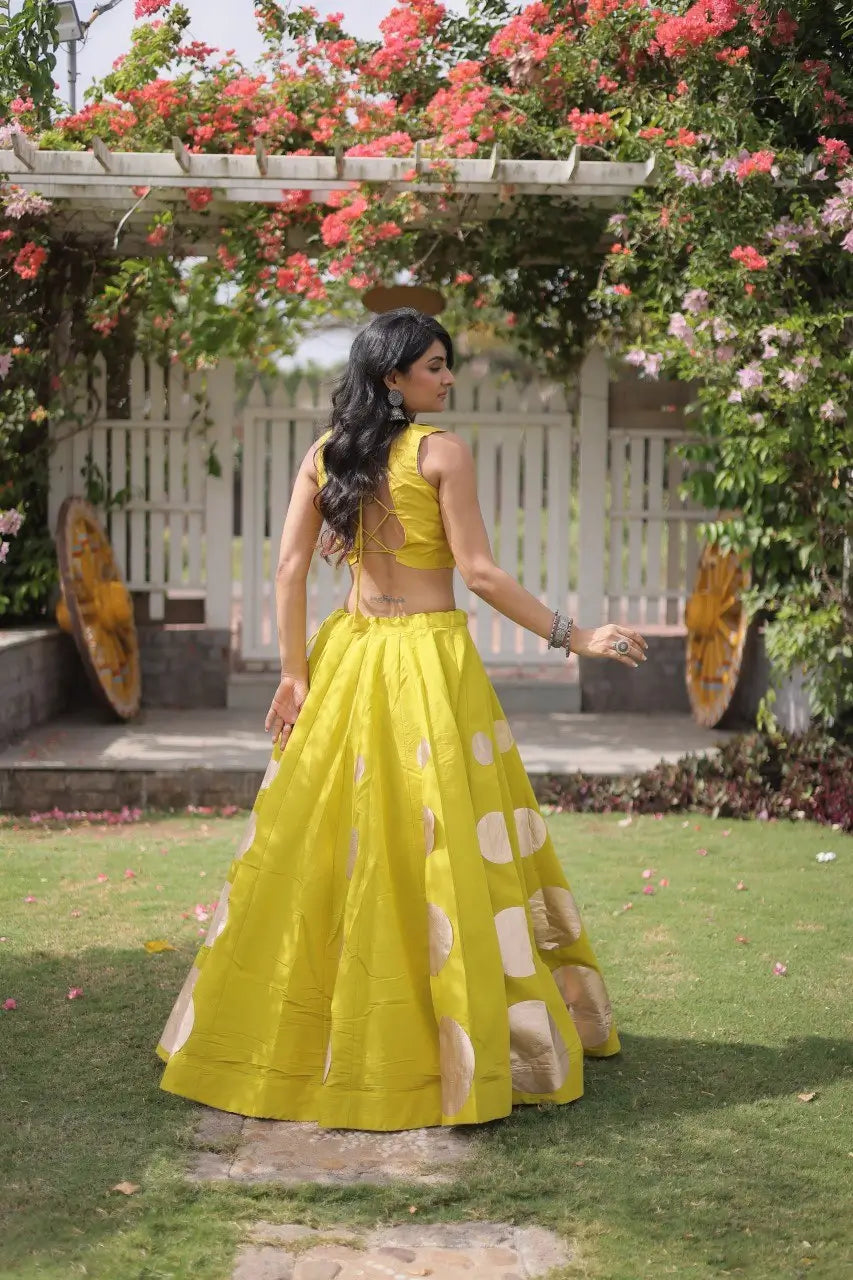 Circle Gota Mirror Lehenga Set