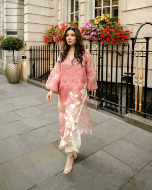 Coral Mirrorwork Organza Shrug Set