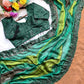 Designer Embroidered Chiffon Silk Saree with Stitched Blouse for Festive and Party Wear