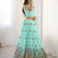 Designer Embroidered Net Lehenga Choli with Dupatta