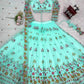 Designer Embroidered Net Lehenga Choli with Dupatta